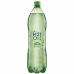 H2O
