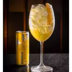 TROPICAL GIN ⚡️