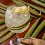 Cucumber Collins