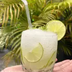 CAIPFRUTA
