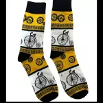 Bicicleta Antiga