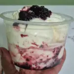 Sorvete Iorgute c/ frutas v