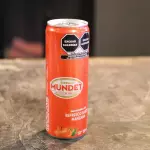Sidral mundet