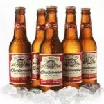 Budweiser