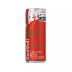 RED BULL MELANCIA 250ML