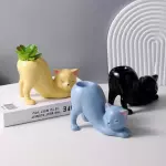 Mini materos