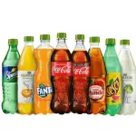 REFRESCO DE SABOR 600 ML