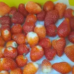 Morango 1