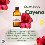 EXTRACTO HG CAYENA