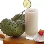 GRAVIOLA