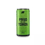 Paso de los Toros