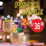 PISCO MULE