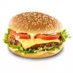 Hamburguesa Especial sin fritas