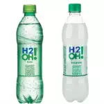 H2O