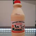 Yogurt la molina aguaymanto 1Kg