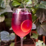 Copa tinto de verano