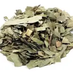 Chá Eucalipto Folhas 100g