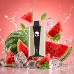 Watermelon chill