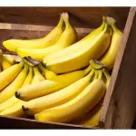 Plátano