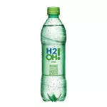 H2O
