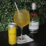 Gin Red Bull Tanqueray 🍹