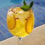 GIN TROPICAL