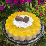 Gelatina de chocorol