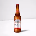 BUDWEISER 600ML