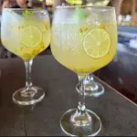Tropical Gin&Tonic