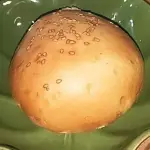 Pão Batata com Carne