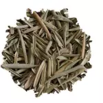 Folhas de Olive