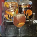 Gin Suricato