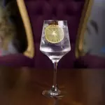 Vodka tonic