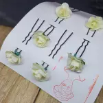 Set 5