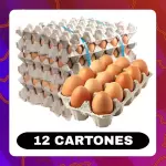 Caja Huevos Tipo AA