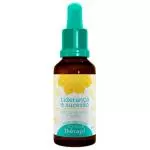 Floral Thérapi Liderança e Sucesso 30ml