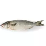 Anchova inteira kg