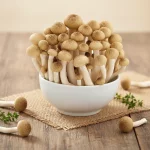 SETA DE CANGREJO 蟹味菇