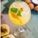 GIN TROPICAL
