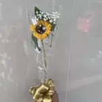 Botão brotinho de girassol
