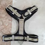 Producto 38