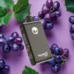 Grape Mint 33