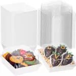 Caja con tapa acetato 10 cm