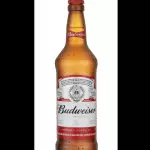 Budweiser 330 ml