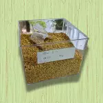 ALHO FRITO (50G)