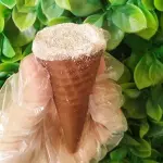 Cone de Ninho