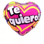 AMOR 6