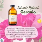 EXTRACTO HG GERANIO