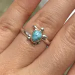 Tortuga plata 925