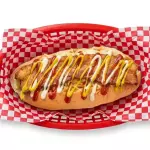 Perro Especial